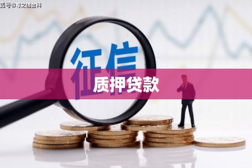 正宁质押贷款