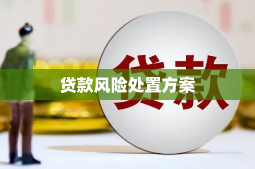 正宁贷款风险处置方案