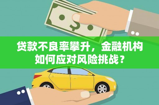 正宁贷款不良率攀升，金融机构如何应对风险挑战？