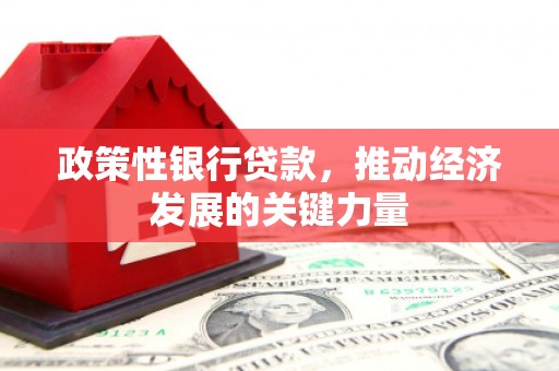 正宁政策性银行贷款，推动经济发展的关键力量