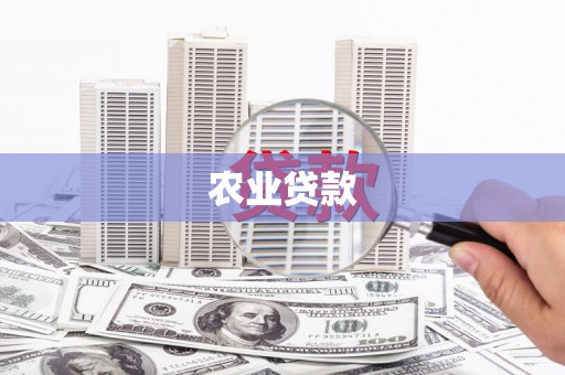 正宁农业贷款