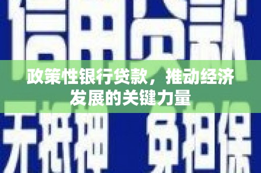 正宁政策性银行贷款，推动经济发展的关键力量