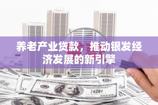 正宁养老产业贷款，推动银发经济发展的新引擎