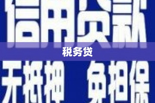 正宁税务贷