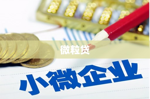 正宁微粒贷