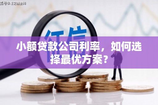 正宁小额贷款公司利率，如何选择最优方案？