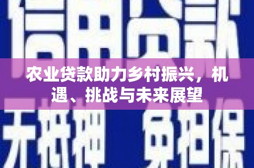 正宁农业贷款助力乡村振兴，机遇、挑战与未来展望