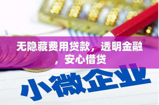 正宁无隐藏费用贷款，透明金融，安心借贷