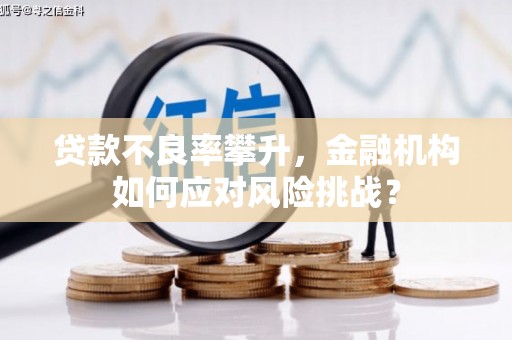 正宁贷款不良率攀升，金融机构如何应对风险挑战？