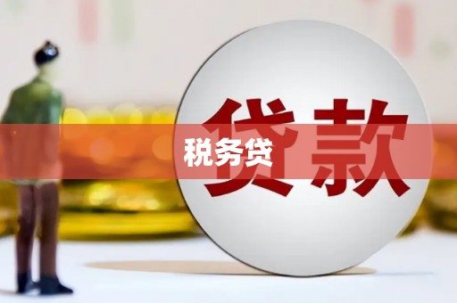 正宁税务贷