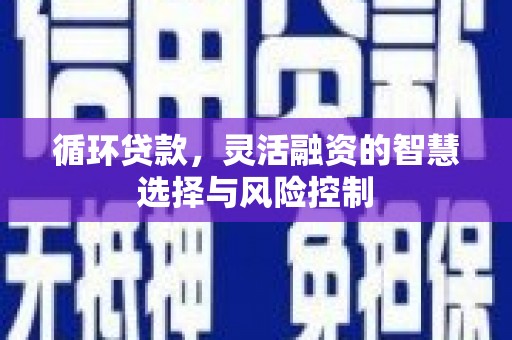 正宁循环贷款，灵活融资的智慧选择与风险控制