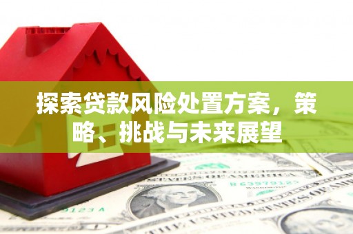 正宁探索贷款风险处置方案，策略、挑战与未来展望