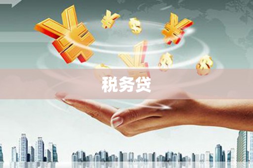 正宁税务贷