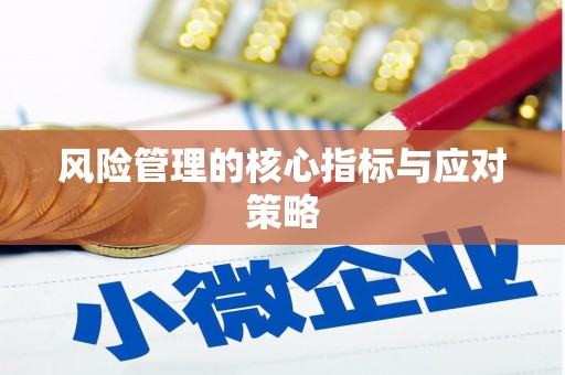 正宁风险管理的核心指标与应对策略
