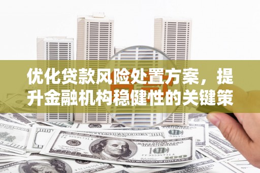 正宁优化贷款风险处置方案，提升金融机构稳健性的关键策略