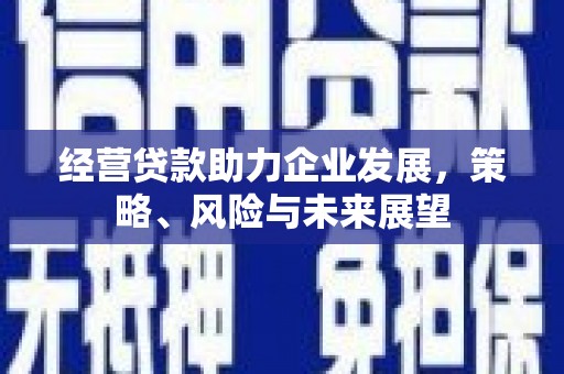 正宁经营贷款助力企业发展，策略、风险与未来展望