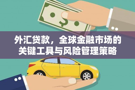 正宁外汇贷款，全球金融市场的关键工具与风险管理策略