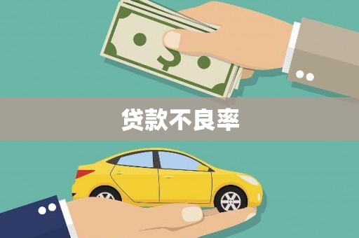 正宁贷款不良率