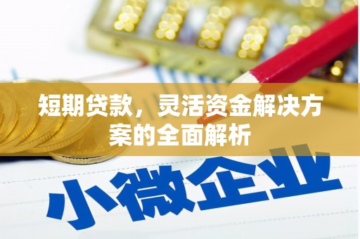 正宁短期贷款，灵活资金解决方案的全面解析