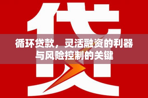 正宁循环贷款，灵活融资的利器与风险控制的关键