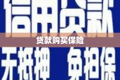 正宁贷款购买保险