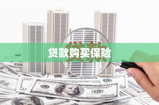 正宁贷款购买保险