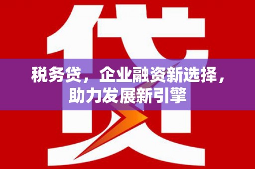 正宁税务贷，企业融资新选择，助力发展新引擎