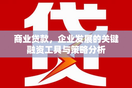 正宁商业贷款，企业发展的关键融资工具与策略分析