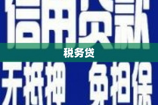 正宁税务贷