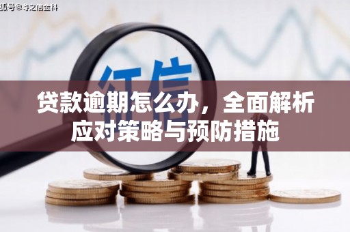 正宁贷款逾期怎么办，全面解析应对策略与预防措施
