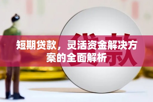 正宁短期贷款，灵活资金解决方案的全面解析