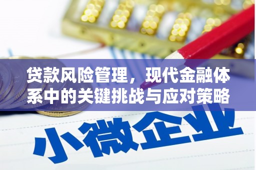 正宁贷款风险管理，现代金融体系中的关键挑战与应对策略