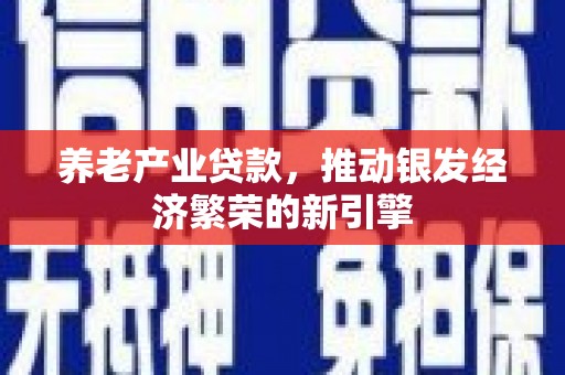 正宁养老产业贷款，推动银发经济繁荣的新引擎
