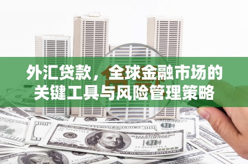 正宁外汇贷款，全球金融市场的关键工具与风险管理策略