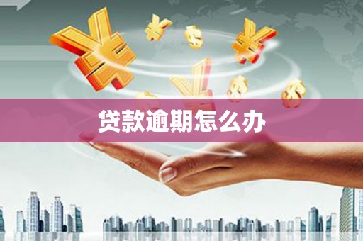 正宁贷款逾期怎么办