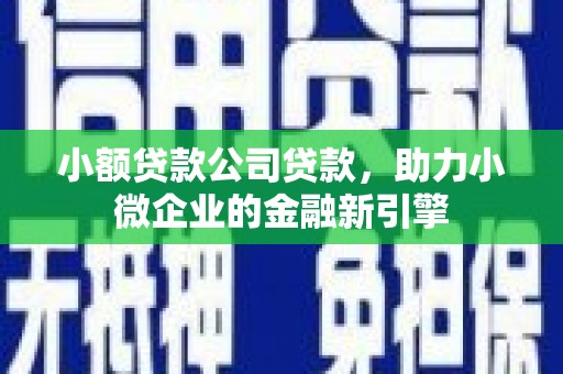 正宁小额贷款公司贷款，助力小微企业的金融新引擎