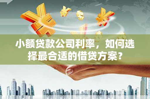 正宁小额贷款公司利率，如何选择最合适的借贷方案？
