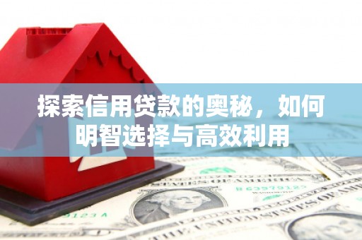 正宁探索信用贷款的奥秘，如何明智选择与高效利用