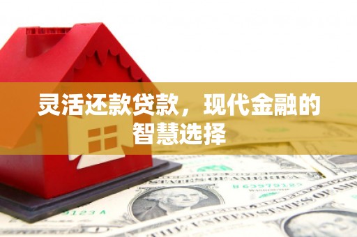 正宁灵活还款贷款，现代金融的智慧选择