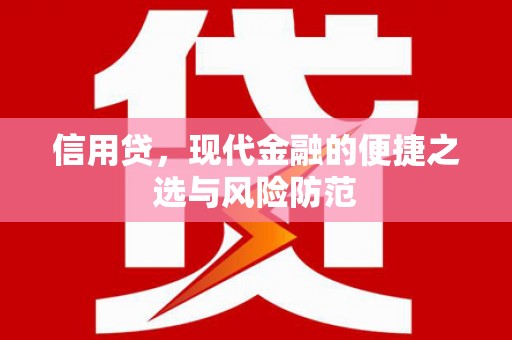 正宁信用贷，现代金融的便捷之选与风险防范