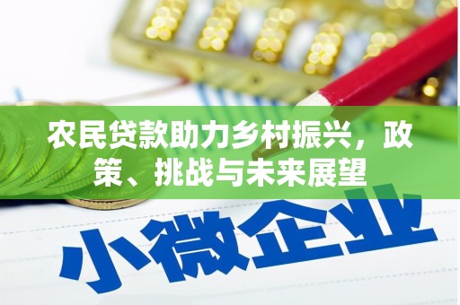 正宁农民贷款助力乡村振兴，政策、挑战与未来展望