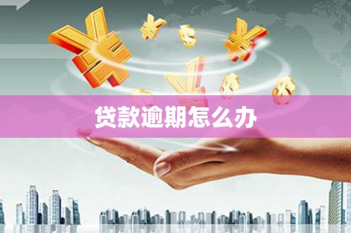 正宁贷款逾期怎么办