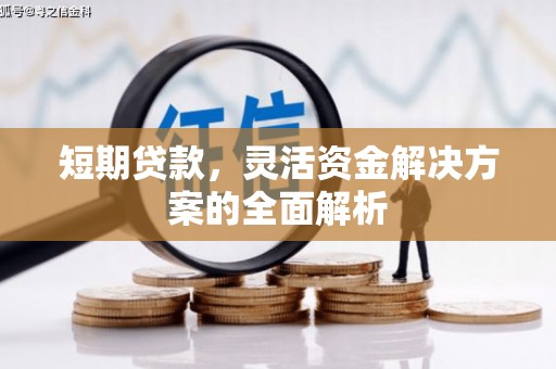 正宁短期贷款，灵活资金解决方案的全面解析