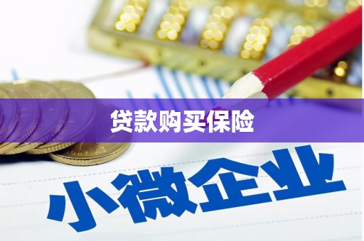 正宁贷款购买保险
