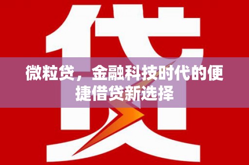 正宁微粒贷，金融科技时代的便捷借贷新选择