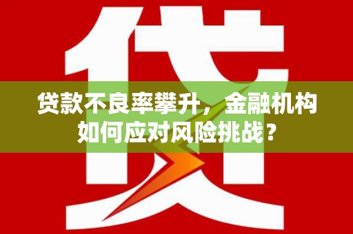 正宁贷款不良率攀升，金融机构如何应对风险挑战？