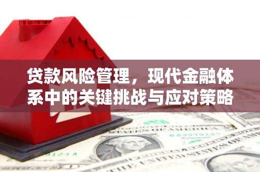 正宁贷款风险管理，现代金融体系中的关键挑战与应对策略