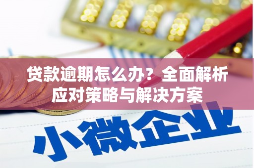 正宁贷款逾期怎么办？全面解析应对策略与解决方案