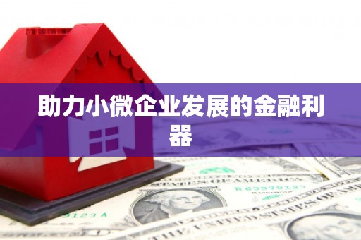正宁助力小微企业发展的金融利器