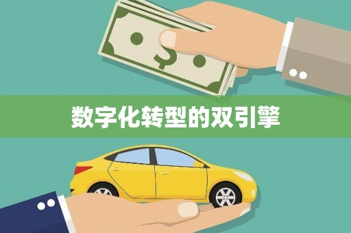 正宁数字化转型的双引擎